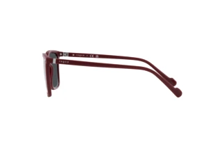 Seitenansicht Vogue Eyewear VO5493S (304887)