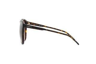 Seitenansicht Vogue Eyewear VO5509S (W65613)