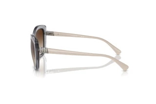 Seitenansicht Vogue Eyewear VO5515SB (309913)