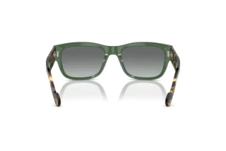 Rückansicht Vogue Eyewear VO5530S (309211)