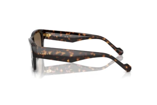 Seitenansicht Vogue Eyewear VO5530S (W65673)