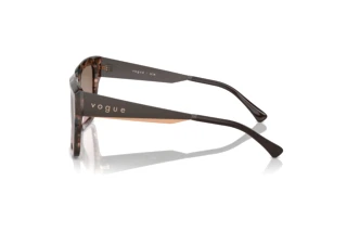 Seitenansicht Vogue Eyewear VO5553S (314514)