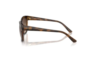 Seitenansicht Vogue Eyewear VO5557S (238613)