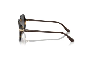 Seitenansicht Vogue Eyewear VO5561S (26058G)