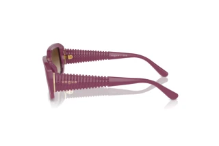 Seitenansicht Vogue Eyewear VO5565S (312313)