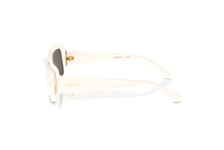 Seitenansicht Vogue Eyewear VO5565S (312487)