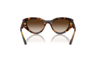 Rückansicht Vogue Eyewear VO5566S (W65613)