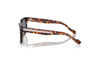 Seitenansicht Vogue Eyewear VO5571S (28194Y)