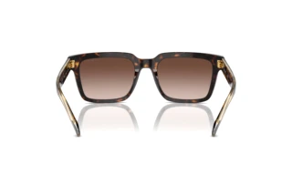 Rückansicht Vogue Eyewear VO5573S (W65613)