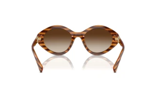 Rückansicht Vogue Eyewear VO5576SB (150813)