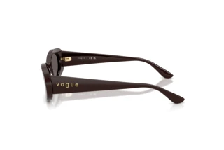 Seitenansicht Vogue Eyewear VO5582S (225287)