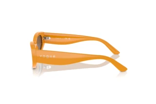 Seitenansicht Vogue Eyewear VO5585S (315973)