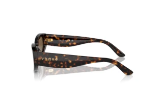 Seitenansicht Vogue Eyewear VO5585S (W65673)