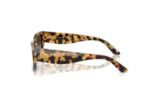 Seitenansicht Vogue Eyewear VO5586S (26058G)