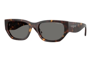 Vorderansicht Vogue Eyewear VO5586S (W65681)