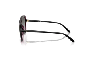 Seitenansicht Vogue Eyewear VO5601S (298911)