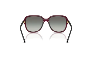 Rückansicht Vogue Eyewear VO5601S (298911)