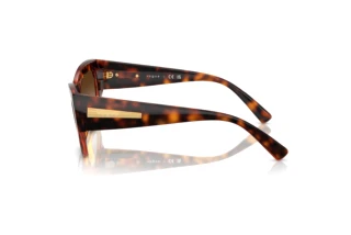 Seitenansicht Vogue Eyewear VO5607S (W65613)
