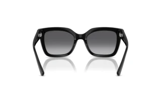 Rückansicht Vogue Eyewear VO5613SB (W44/T3)