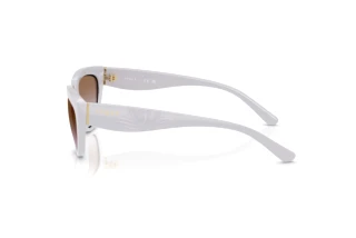 Seitenansicht Vogue Eyewear VO5629S (319368)