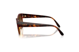 Seitenansicht Vogue Eyewear VO5638SU (W65613)