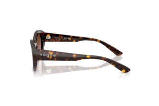 Seitenansicht Vogue Eyewear VO5659SU (W65613)