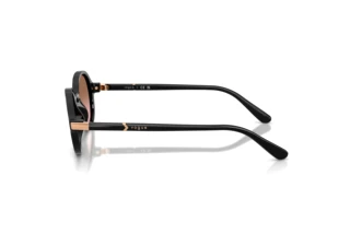 Seitenansicht Vogue Eyewear VO5692S (W44/14)