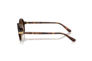Seitenansicht Vogue Eyewear VO5692S (W65613)