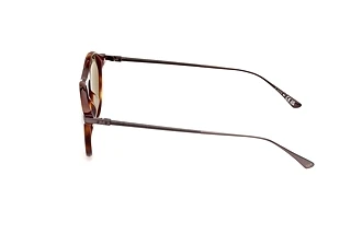 Seitenansicht Web Eyewear WE0346 (52N)