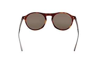 Rückansicht Web Eyewear WE0346 (52N)