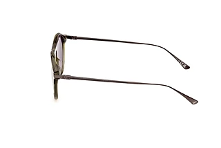 Seitenansicht Web Eyewear WE0346 (95A)
