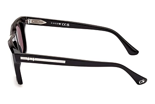 Seitenansicht Web Eyewear WE0350 (01A)