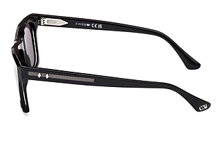 Seitenansicht Web Eyewear WE0350 (05A)