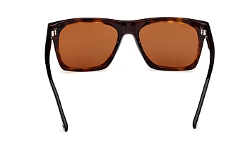 Rückansicht Web Eyewear WE0350 (55E)