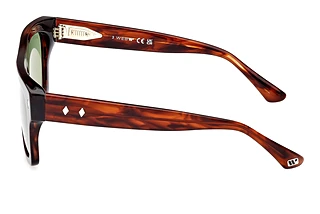 Seitenansicht Web Eyewear WE0354 (56N)