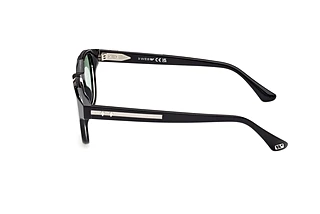 Seitenansicht Web Eyewear WE0361 (05N)