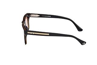 Seitenansicht Web Eyewear WE0362 (05J)