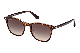 Vorderansicht Web Eyewear WE0364 (56B)