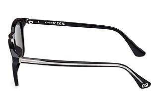 Seitenansicht Web Eyewear WE0365 (01D)