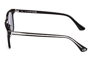 Seitenansicht Web Eyewear WE0369 (01V)