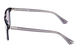 Seitenansicht Web Eyewear WE0369 (92A)