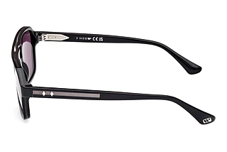 Seitenansicht Web Eyewear WE0376 (05A)