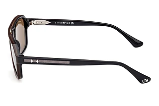 Seitenansicht Web Eyewear WE0376 (50E)