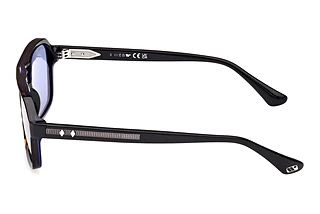 Seitenansicht Web Eyewear WE0376 (56V)