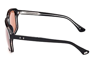 Seitenansicht Web Eyewear WE0378 (56J)