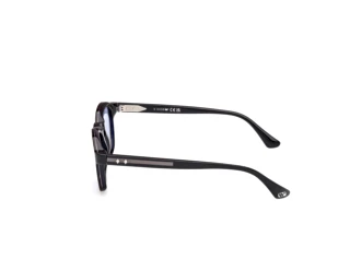 Seitenansicht Web Eyewear WE0384 (56V)