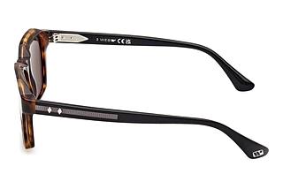 Seitenansicht Web Eyewear WE0385 (55N)