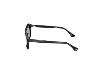 Seitenansicht Web Eyewear WE0389 (01E)