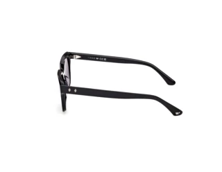 Seitenansicht Web Eyewear WE0391 (01A)