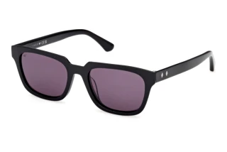 Vorderansicht Web Eyewear WE0391 (01A)